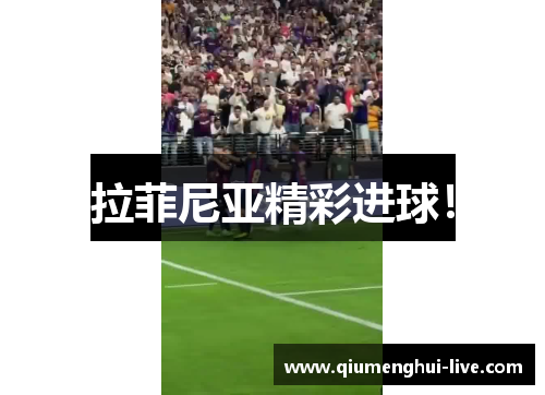 拉菲尼亚精彩进球! 拉菲尼亚精彩进球!